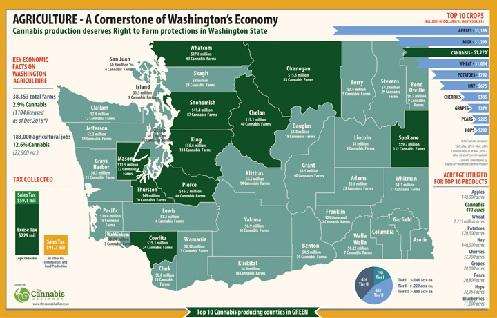 Cannabis - A cornerstone of Washington's Economy