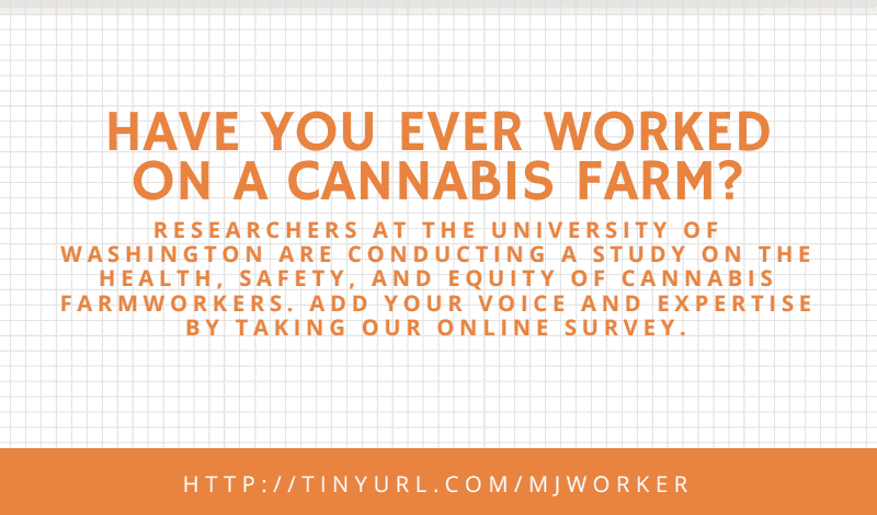 Survey- Have you worked on a cannabis farm?